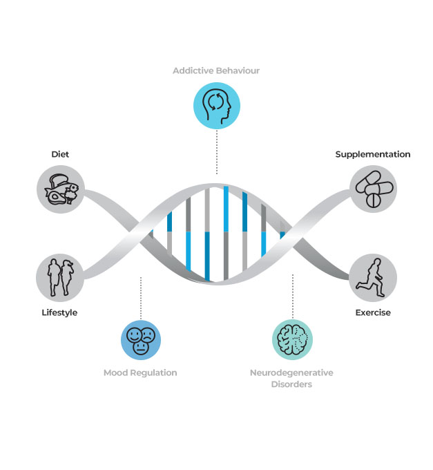 DNA-MIND-Helix