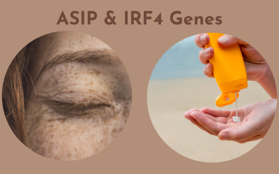DNA Test Unlocks Skin Pigmentation Secrets: Impact of ASIP & IRF4 Genes