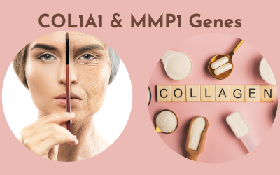 Unlocking Skin’s Elasticity: Impact of COL1A1 & MMP1 Genes on Aging & Collagen